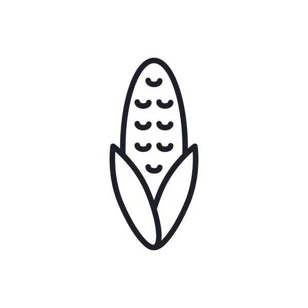 Icono de maíz. Icono lineal vectorial, contorno, forma, contorno aislado sobre un fondo blanco. Línea delgada. Diseño minimalista moderno. Hortalizas — Vector de stock