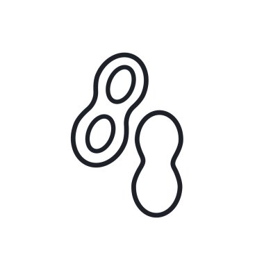 Fıstık ikonu. Vektör doğrusal simgesi, kontur, şekil, beyaz arkaplan üzerinde izole edilmiş dış hat. İnce çizgi. Modern tasarım. Çatlak.