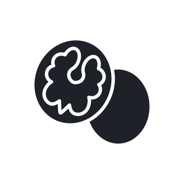 Ceviz ikonu. Siyah yalıtılmış fındık silueti. Katı simgeyi doldur. Modern tasarım. Vektör çizimi. Sağlıklı gıda ve vitaminler