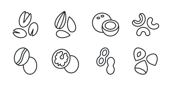 Noten icoon set. Vector lineair pictogram van noten, contour, omtrek geïsoleerd op wit. Amandelcashew koffie hazelnoot pinda pistachenoten walnoot kokosnoot collectie. Modern design. Gezonde voeding en vitaminen — Stockvector