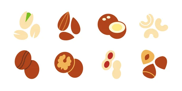 Conjunto de iconos de frutos secos. Icono de color plano vectorial de tuercas aisladas en blanco. Almendra anacardo café avellana cacahuete pistachos nuez colección de coco. Diseño moderno. Alimentos y vitaminas saludables — Vector de stock