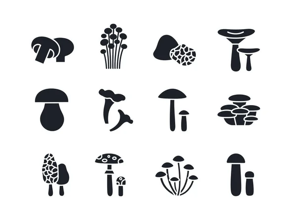 Houbová silueta. Černé siluety vektorů. Vyplnit pevnou ikonu. Moderní design glyfu. Champignon enoki lanýž russula porcini cep chanterelle ústřice morel moucha agaric med muchomůrka birch bolete — Stockový vektor