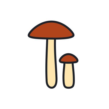 Birch Bolete ikonu. Vektör izole edilmiş doğrusal renk simgesi şekil hatları. İnce çizgi. Modern kabartma tasarımı. Mantarlar. Yiyecek malzemeleri..