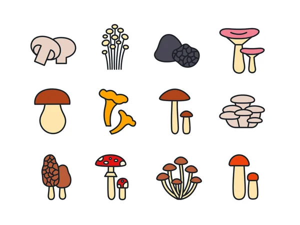 Paddenstoelen icoon set. Vector lineaire kleur pictogrammen contour vorm omtrek. Modern glyph ontwerp. Champignon enoki truffel russula porcini cep chanterelle oester morel vliegen agaric honing paddestoel berk bolete — Stockvector