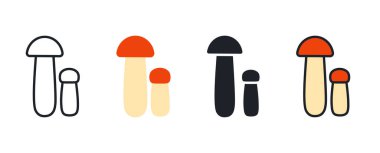 Orange cap boletus icon. Linear flat color icons contour shape outline. Thin line. Black vector silhouette. Fill solid icon. Modern glyph design. Illustrations of mushrooms. Vector set