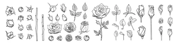 Una grande serie di rose e foglie. Rose Bud illustrazione. Fiori disegnati a mano. Elementi floreali vettoriali clipart. Perfetto per decorazioni biglietti di nozze, biglietti di auguri, inviti. — Vettoriale Stock