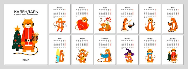 Calendario o pianificatore formato A4 con tigre. Buon anno 2022. Set di 12 pagine mensili e copertina con illustrazioni vettoriali di tigri dei cartoni animati sorridenti positive. La settimana inizia lunedì. Testo in russo — Vettoriale Stock