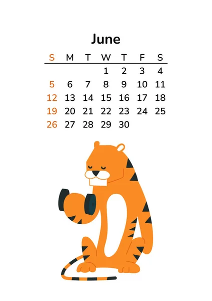 Vertikální kalendář 2022 s tygry. June page. Stránky formátu A4. Tygr v kresleném stylu. Čínský horoskop. Týden začíná v neděli. Cvičení s činkami. Sportovní tělocvik. Léto — Stockový vektor