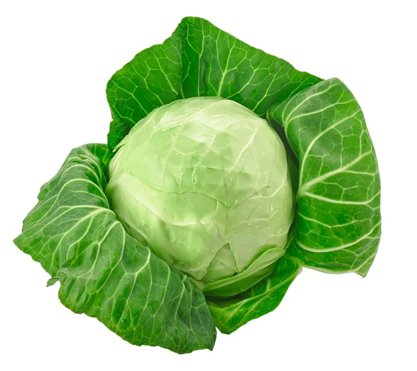 Green cabbage isolated on white background — Stock Photo, Image