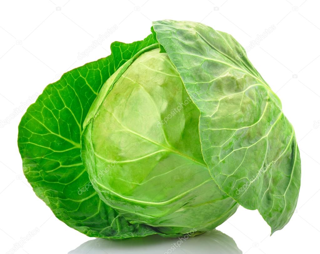 Green cabbage isolated on white background