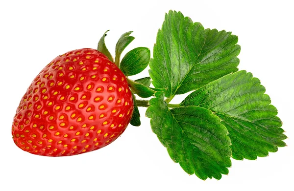 有叶子的草莓。被白色背景隔离. — 图库照片