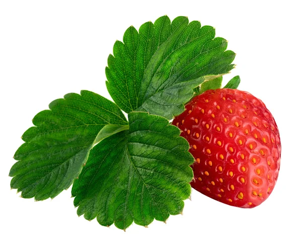 有叶子的草莓。被白色背景隔离. — 图库照片
