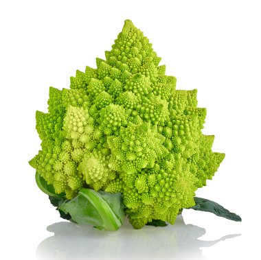 Karnabahar beyaz arkaplanda izole