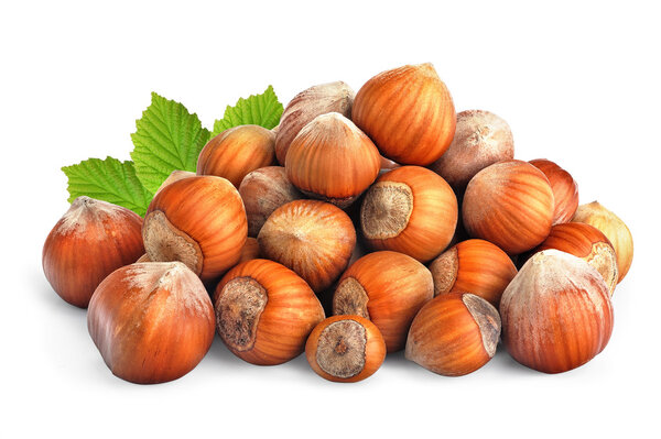 Hazelnuts isolated