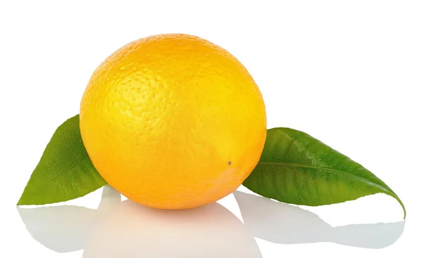 Lemon with leaf on a white background. — Stock Photo, Image