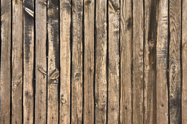 Tekstura drewna. tło stare panele Obraz Stockowy