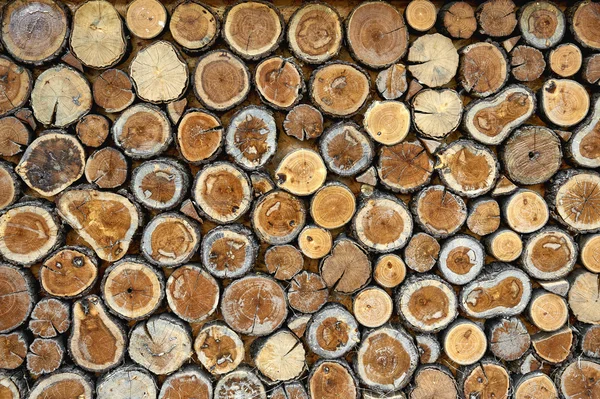 Nahtlose Holzstruktur des geschnittenen Baumstammes — Stockfoto