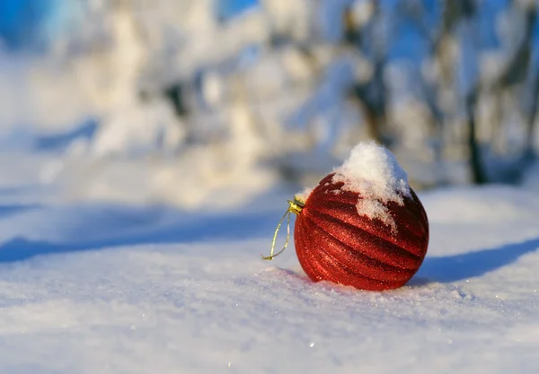 Karácsonyi piros golyó egy háttérben havas fenyő ágak — Stock Fotó