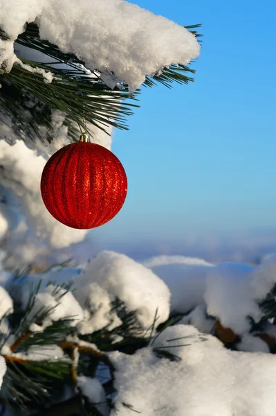 Piękną czerwoną piłkę Bożego Narodzenia na gałąź jodła pokryte śniegiem — Zdjęcie stockowe