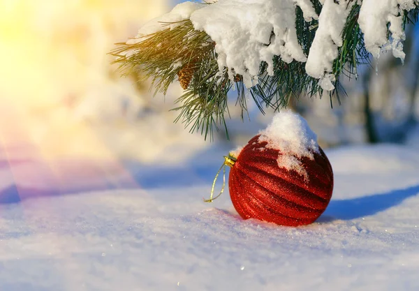 빨간색 크리스마스 볼 배경 눈 덮힌 전나무 가지에 스톡 이미지