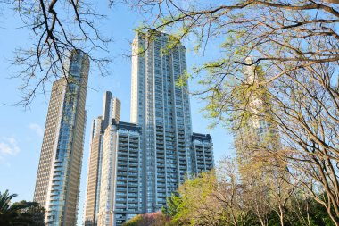 Caba, Buenos Aires / Arjantin; 4 Kasım 2020: Torres Mulieris, Chateau Puerto Madero ve Torres El Faro şehirlerinin en modern binaları. Bahar şehir manzarası.