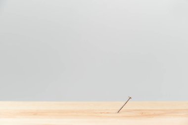 Çam ağacının ortasına çivilenmiş yamuk çivi. Kopyalama alanı olan resim.