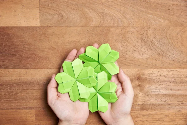 Hands Young Woman Hold Three Origami Clovers Made Light Green — Stock Photo, Image