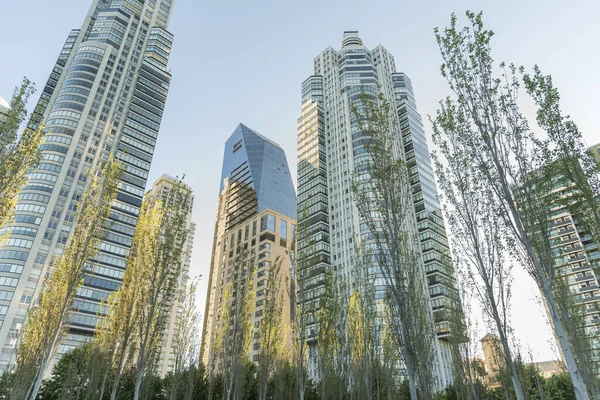 Nature in the city: trees and buildings of modern architecture in the exclusive Puerto Madero neighborhood, in Buenos Aires, Argentina. Low angle view.
