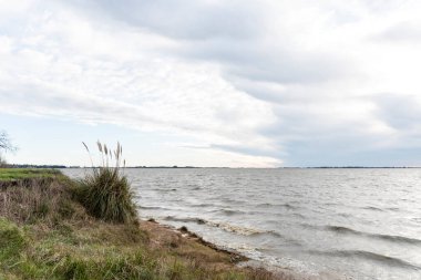 Chascomus Lakeside, Arjantin 'in Buenos Aires eyaletinde sakin bir turist kasabası..