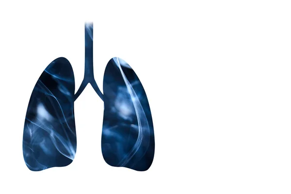 Lungs Full Smoke Horizontal Image White Background Copy Space Concepts — Stock Photo, Image
