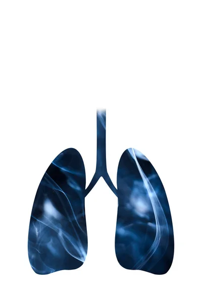 Lungs Full Smoke Vertical Image White Background Copy Space Concepts — Stock Photo, Image