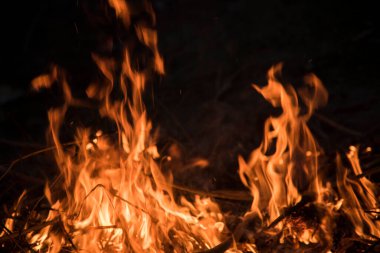 Ateş hareket halinde, şenlik ateşi doğada. Seyahat, macera ve açık hava eğlencesi kavramları.