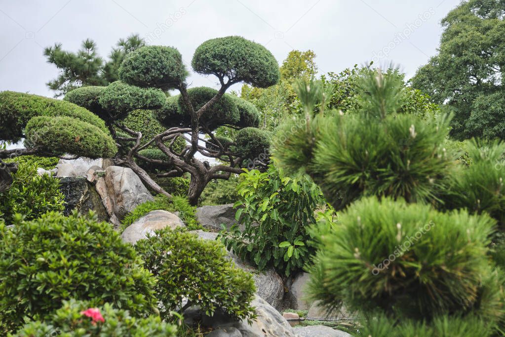 Japanese Garden of Buenos Aires, Argentina. Detail of plants and rocks carefully placed in this quiet touristic place full of symbolism.