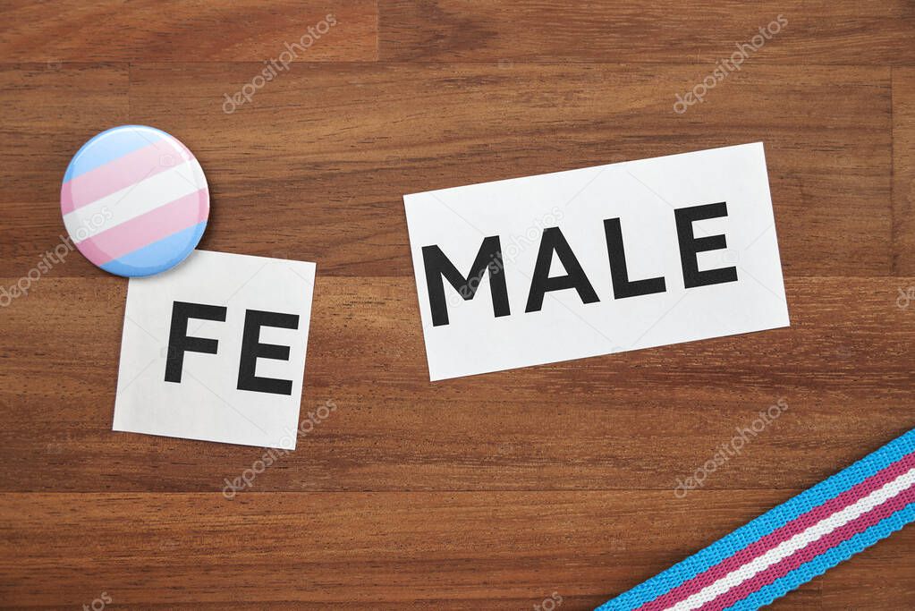Female word printed on a piece of paper, divided, with trans pride flag symbols. Conceptual image with no people about gender identity and transgender. Wooden background.