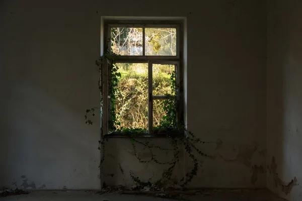 Interior de la casa abandonada — Foto de Stock