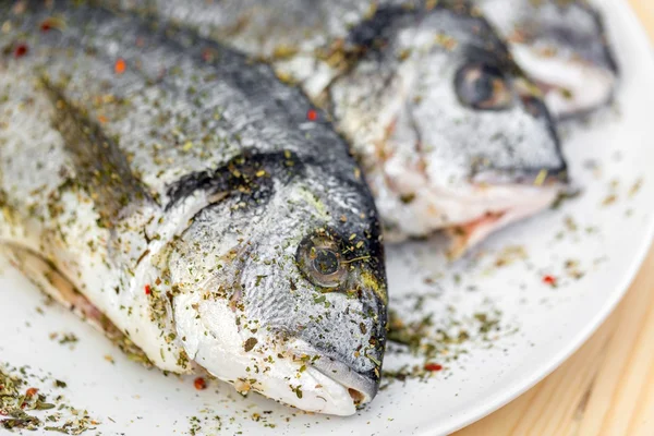 Fish on white plate background — Stock Photo, Image