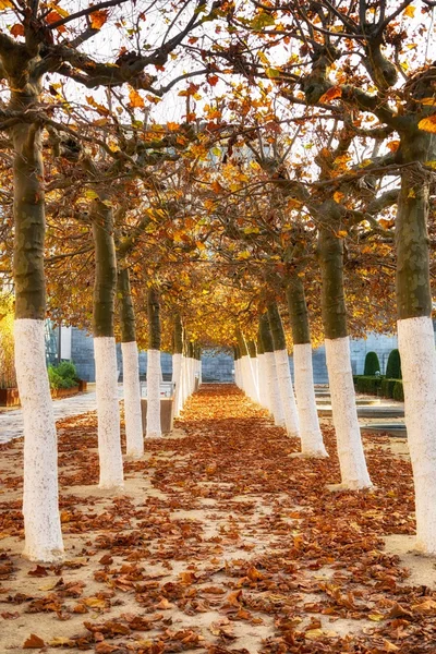 Pathway through the park — Stock Photo, Image