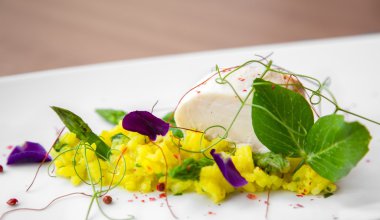 lezzetli Gurme yiyecekler