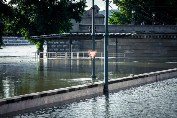 Terrain inondé en Europe — Photo