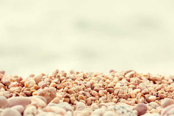 Background of the stones