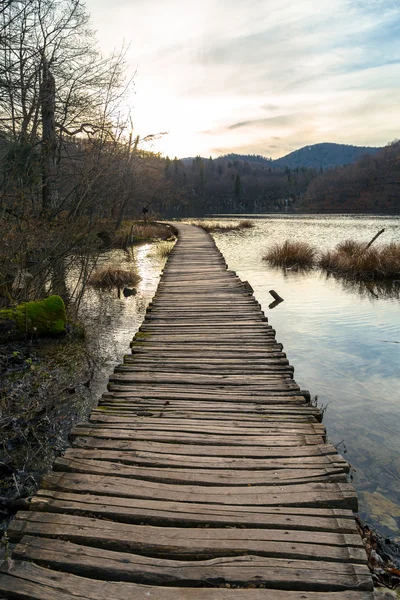 Estrada na floresta no outono — Fotografia de Stock