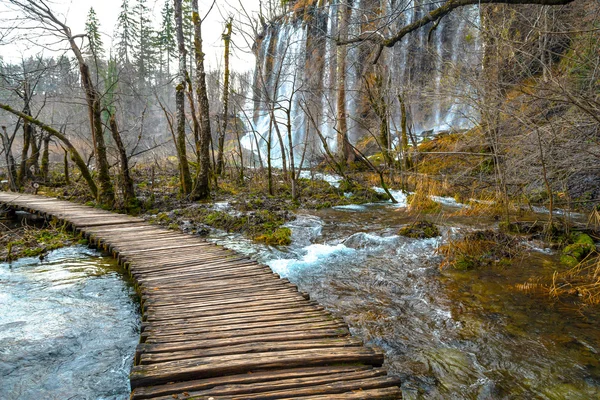 Estrada na floresta no outono — Fotografia de Stock