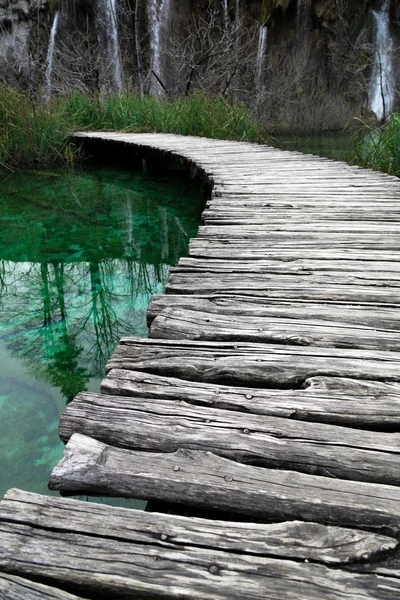 Estrada na floresta no outono — Fotografia de Stock