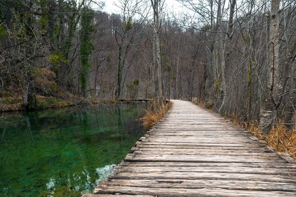 Estrada na floresta no outono — Fotografia de Stock