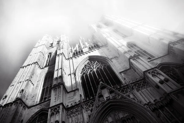 Hermosa catedral gótica de Bruxelles Brusels Bélgica — Foto de Stock