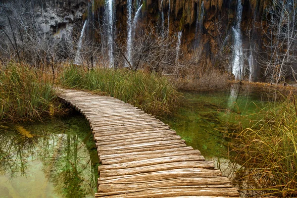 Estrada na floresta no outono — Fotografia de Stock