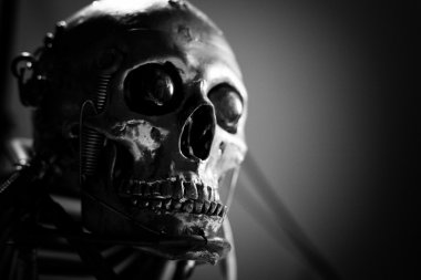 Kafatası insan boyutu bir robot