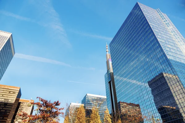 青い空を背景の高層ビル — ストック写真