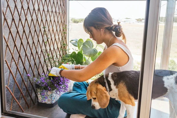 Giovane Donna Giardinaggio Sul Suo Balcone Con Suo Cane — Foto Stock
