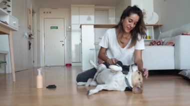 Evinde köpeğini fırçalayan bir kadın